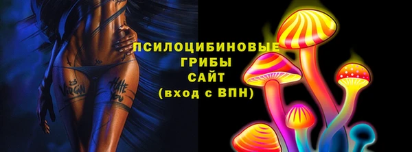 PSILOCYBIN Алзамай